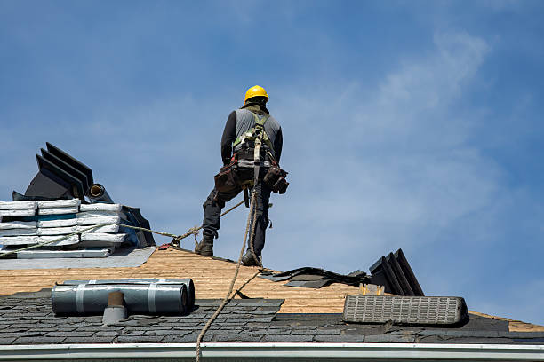 Professional Roof Replacement technician working in Tiro, OH